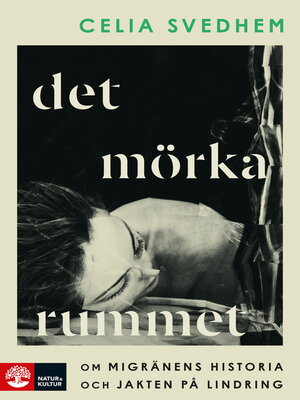cover image of Det mörka rummet